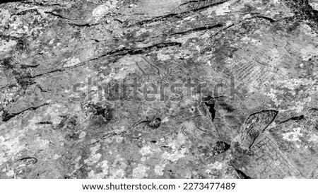 Monochrome photo rock paintings of ancient man animals and people hunters and strange on a stone in the Altai mountains in the sunlight.