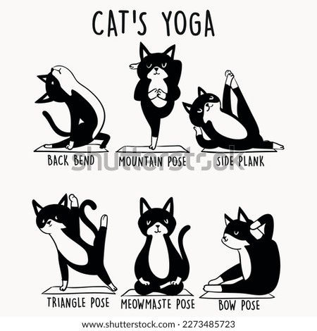 Cat illustration with slogan.  Vector graphic design for t-shirt. Cat's yoga poses drawing. Cute yoga poses draw