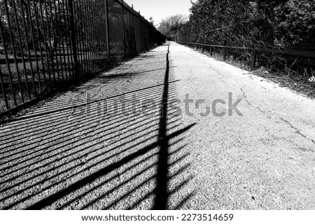Bottom perspective view of driveway within a park. On the sides, vegetation and railings that cast their clear shadow on the ground. Black and white photo.