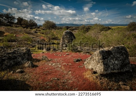 Landscape in the Natural Area of Barruecos. Extremadura. Spain.