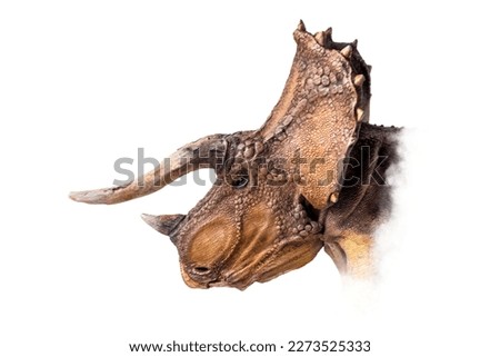 The head of Triceratops , dinosaur on  isolated background  . Royalty-Free Stock Photo #2273525333