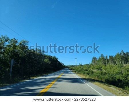 A wide open highway under a clear blue sky. Vegetation is thriving on either side of the highway.