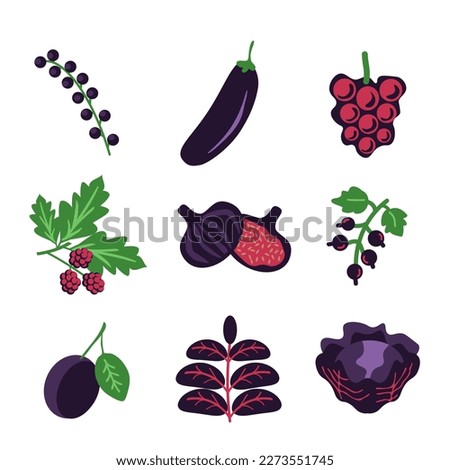 Purple fruits and vegetables vector collection