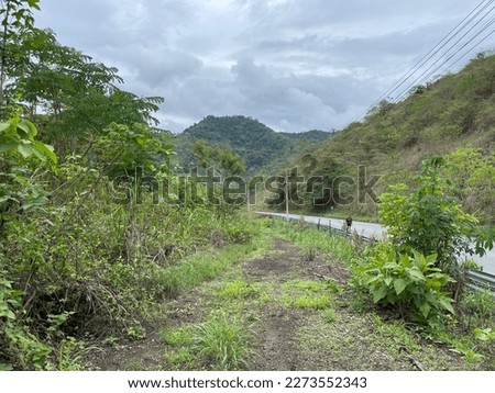 Nature, in the section of the Portoviejo - Junín road, a distance that I traveled by bicycle with my friend, the landscape has a lot of flora and fauna, the weather is hot, this route lasted 3 hours.
