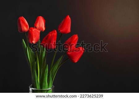 Red tulips on a black background. Place for text. Bouquet