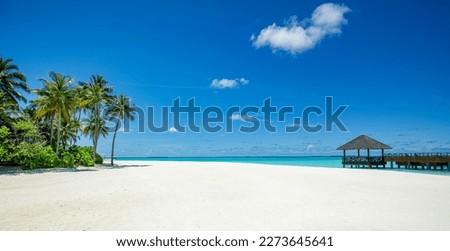 Beautiful tropical Maldives island scene blue sea, blue sky holiday vacation vertical background. Wooden pathway, pier. Amazing summer travel concept. Ocean bay palm trees sandy beach. Exotic nature Royalty-Free Stock Photo #2273645641
