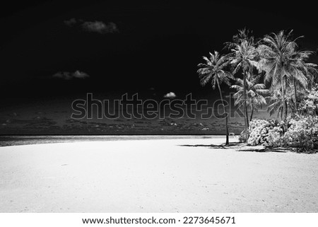 Tranquil black and white beach scene. Dramatic island shore landscape, dark sky white sand. Monochrome tropical coast, silhouette of palm trees. Abstract nature summer travel wallpaper