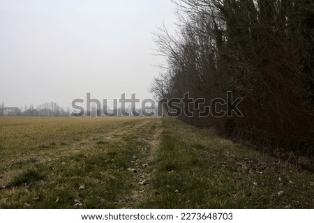 Path  bordered by bare trees in a park next to a field on a cloudy winter day in the italian countryside