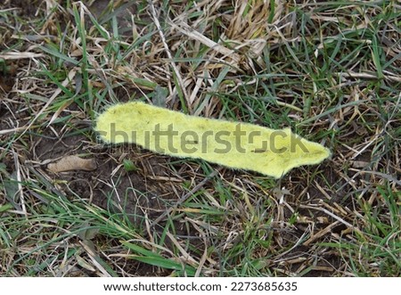 The skin of a tennis ball worn away on the ground - subject , sport , injury , reluctance - fatigue, exhaustion - tenis Royalty-Free Stock Photo #2273685635