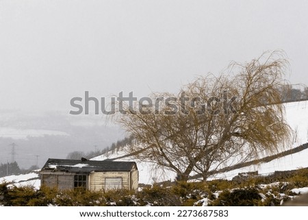Isolated hut with Tree - Snow - British Countryside 