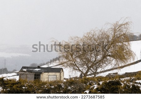 Isolated hut with Tree - Snow - British Countryside 