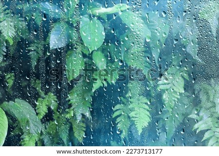 rain asia green, background downpour rainy season typhoon