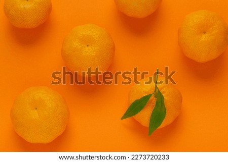 Mandarin on orange background for idea minimalism