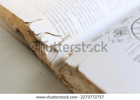 The damage of thick books stored in high humidity for a long time causes damage from termites and silverfish.