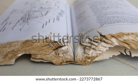 closeup shot of books have storage in high humidity for a long time cause damage from termites and silverfish.