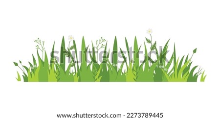 Green grass Illustration. Green lawn, flower, natural borders, herbs. Flat vector illustrations for spring, summer, nature, ground, plants concept. Royalty-Free Stock Photo #2273789445