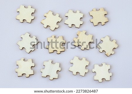 Twelve wooden puzzles laid out on a beige background, top view