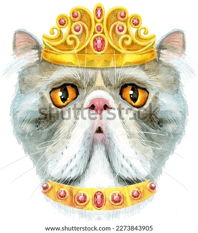 Cute cat in golden crown. Cat for t-shirt graphics. Watercolor Exotic Shorthair cat breed illustration