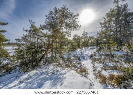 Nature reserve in winter with snow