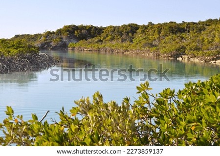 Beautiful turquoise mangrove river bordered with red mangrove trees on Shroud Cay in the Exuma Islands, Bahamas Royalty-Free Stock Photo #2273859137