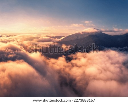 Aerial view of mountains in low clouds at sunrise in summer in Ukraine. Top drone view of mountain hills in fog in spring at dawn. Beautiful landscape with ridges, forest, sun, colorful sky