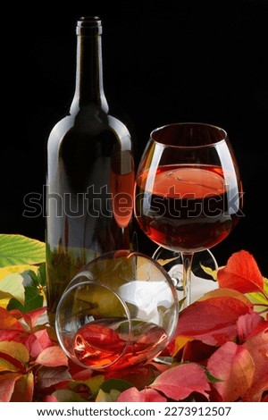 wine glass and bottle on colorful autumn leaves