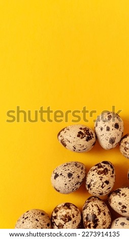 Quail eggs lays on yellow paper background with copy space or empty place for text. Easter holiday. Visiting card. Religious layout. Springtime design. Healthy food product. Farm organic production.