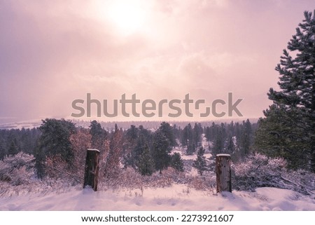 Twin Lakes Colorado Morning Snowstorm