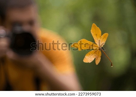 Photographer taking a picture of an autumn leaf
