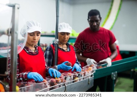 Skilled women working on sorting line at fruit storage, checking quality of selected peaches