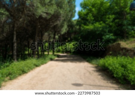 Walking path in a forest. Carbon neutral concept. Carbon net zero concept. Green parks. Green environment Blurred background