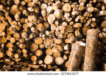 Pile of firewood that has been cut as needed, usually used for cooking needs Royalty-Free Stock Photo #2274014277