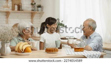 Asian pensioneer couple spending time with their granddaughter, drinking black tea, chatting and relaxing - family bonds, relationship concept  Royalty-Free Stock Photo #2274014589