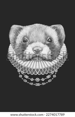 Portrat of Least Weasel with Elizabethan Collar. Hand-drawn illustration