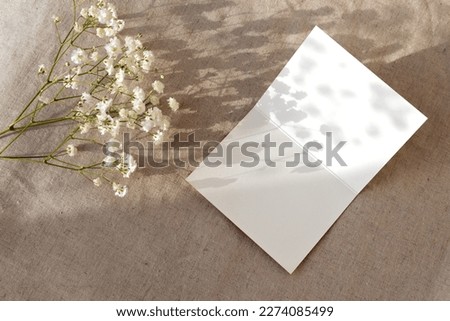 Blank greeting paper card template with floral sunlight shadows on a beige background, natural lifestyle mockup with copy space