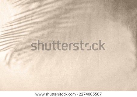 Minimalist aesthetic natural summer background with blurry sunlight shadow of tropical palm leaves on a neutral beige curtain, copy space