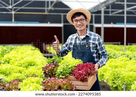 Young man smart farmer smiling success and hoding organic hydroponic vegetable in basket to management preparing export to sell.