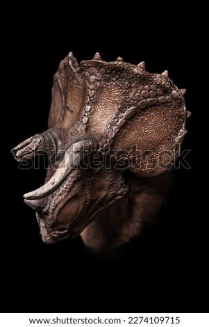 The head of Triceratops  in the dark , dinosaur on black background Royalty-Free Stock Photo #2274109715