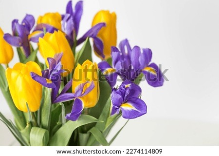 A bouquet of yellow tulips and purple irises on a white isolated background. The concept of the onset of spring and International Women's Day on March 8.