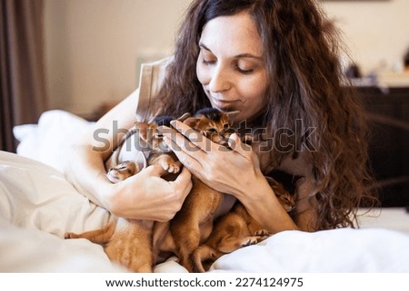 Woman holding a bunch of  abyssinian ruddy kittens. Morning with cute one month old kittens on a bed. Pets care. World cat day. Image for websites about cats. Selective focus.