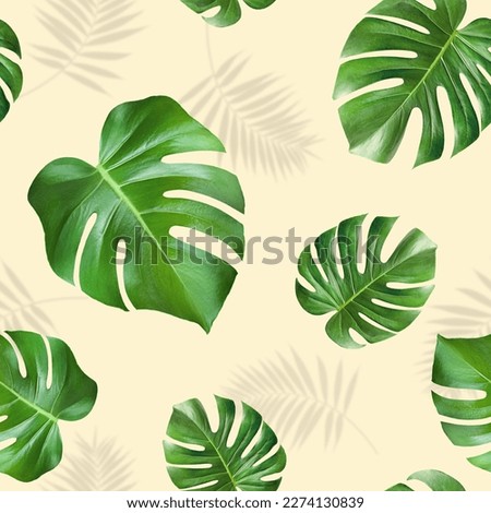 seamless pattern of monstera leaves on beige background Royalty-Free Stock Photo #2274130839