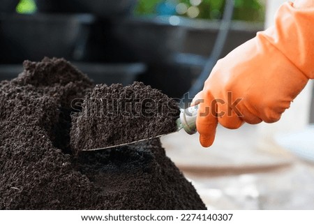 #UniqueSSelf Hand hold Vermicompost fertilizer for planting trees, a man hand put on orange safety glove carry rich healthy soil and clay prepare for growing plants Royalty-Free Stock Photo #2274140307