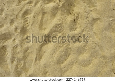 Texture of the sand on the beach as a background