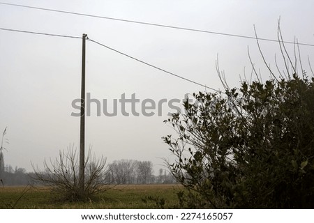 Field  with wooden pylons and over head cables on a cloudy day in the italian countryside in winter