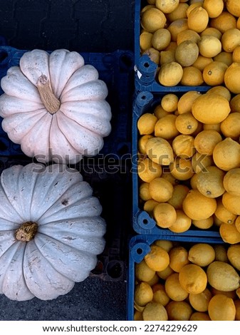 vegetable pumpkins limon fruits vitamin season market yellow blue 