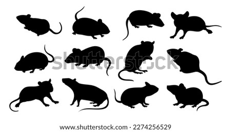 Mice silhouette, black rat icons, animal rodents set. Animal drawing in different poses, plague pest standing in laboratory, long tails. Simple graphic. Vector isolated collection Royalty-Free Stock Photo #2274256529