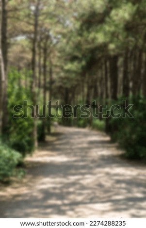 Walking path in a forest. Park background. Carbon neutral concept. Carbon net zero concept. Green parks. Green environment Blurred background