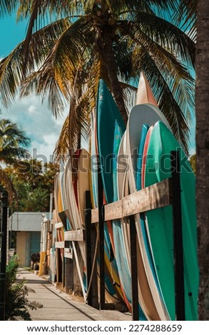three boards on the beach boats palms tropical Miami