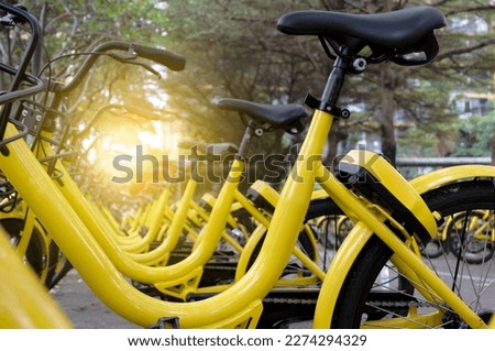 Yellow bikes lined together image