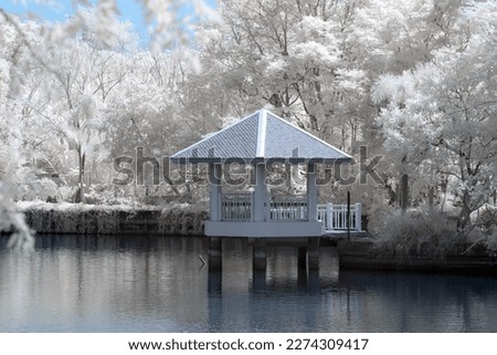 infrared landscape Outdoor park, Bright day, white trees